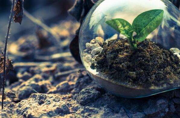 Gebietsleiter (mwd) intelligente Energielösungen, Elsass