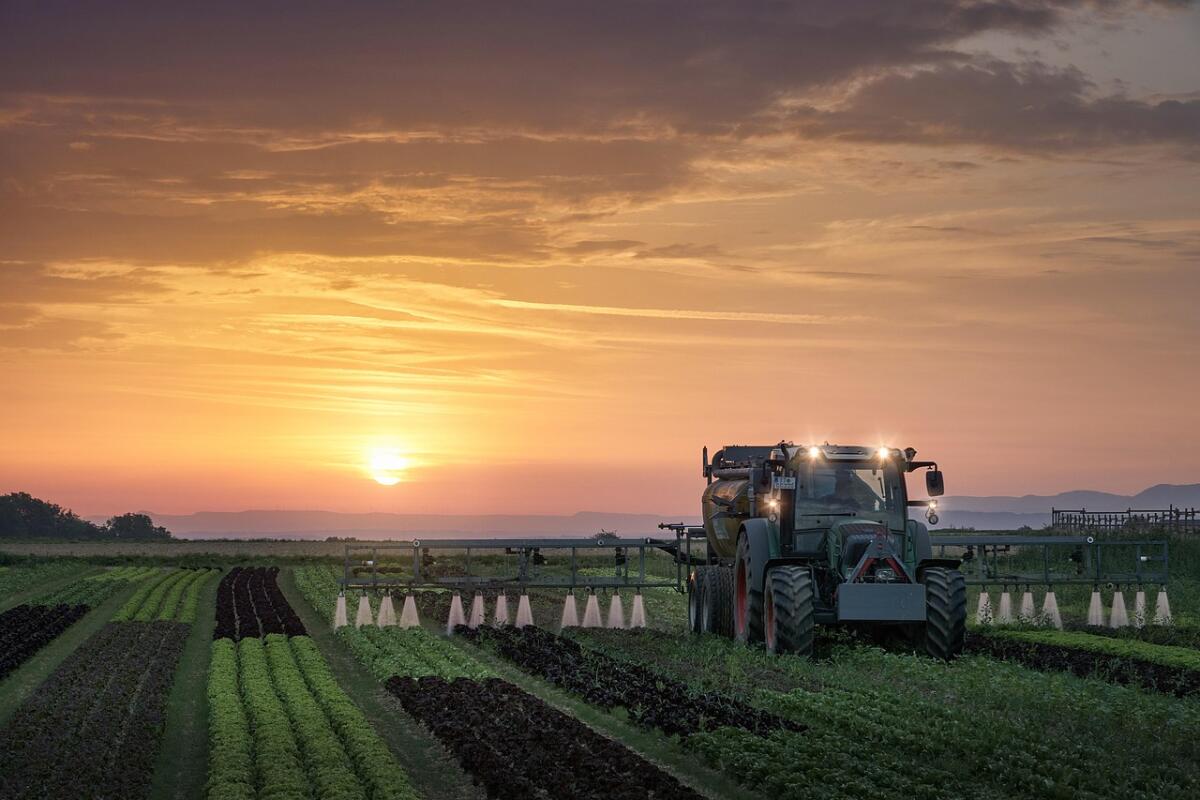 Marketing Specialist (mwd), Kfz-Ersatzteilweisen, Wien-NÖ