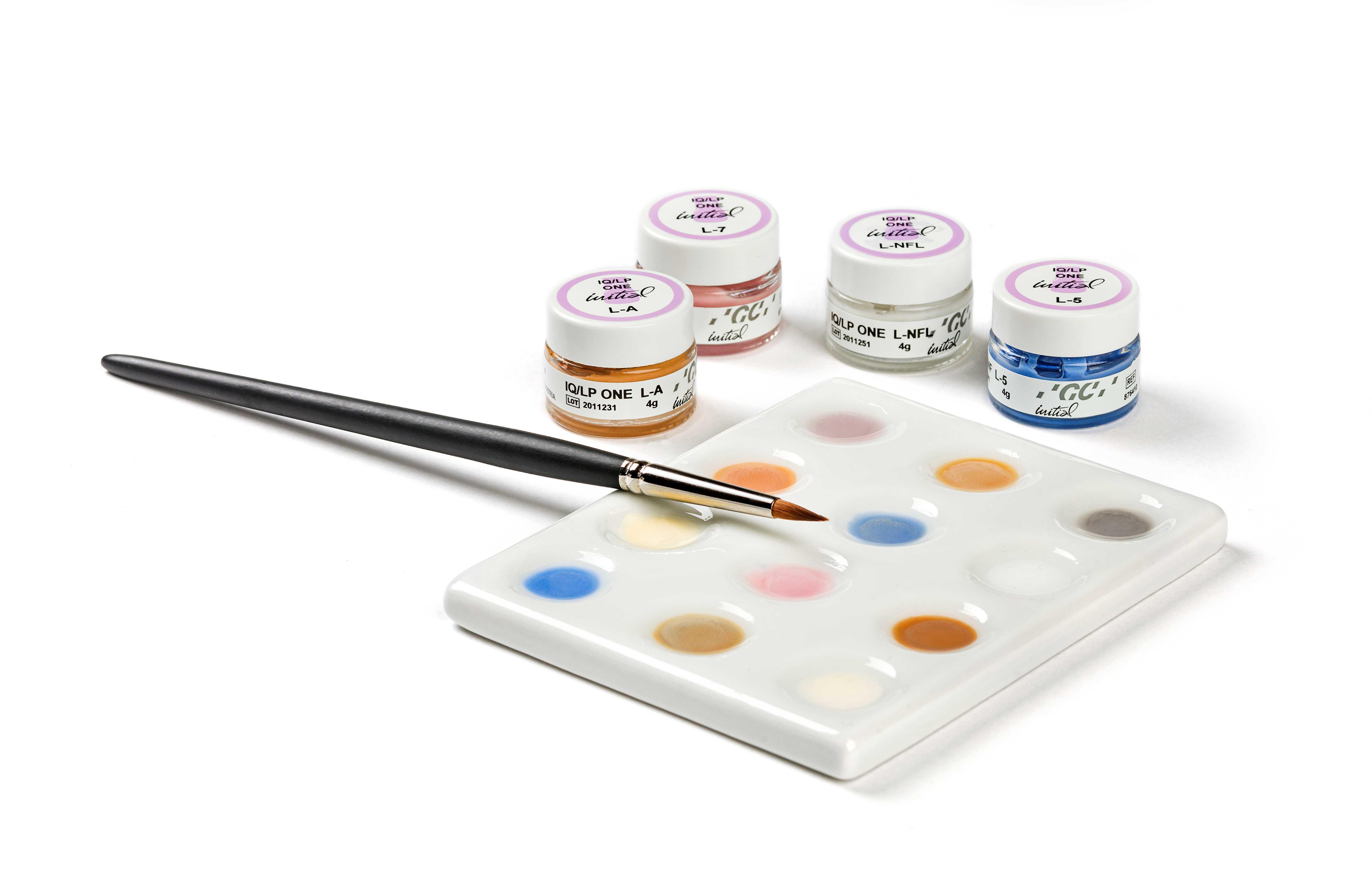 Individualisieren und Bemalen von GC LiSi und Cerasmart 270 Kronen - Hands-on Workshop 