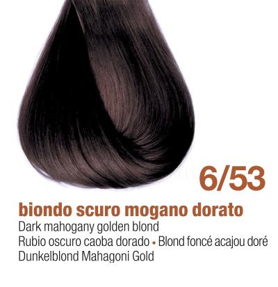 6/53E - DARK MAHOGANY GOLDEN BLOND