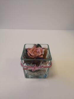 Rose stabilisiert