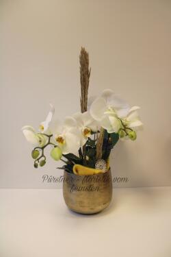 Wildwachsende Orchidee weiß 