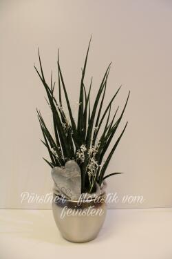 Sansevieria im Übertopf