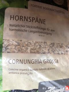 Hornoska Hornspäne 