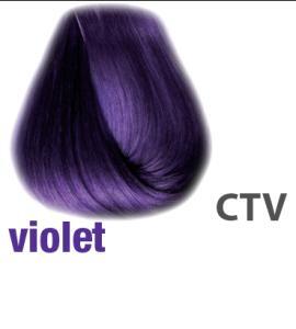 VIOLET - COLOR TRIBE