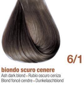 6/1E - ASH DARK BLOND