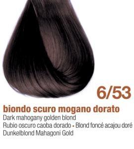 6/53E - DARK MAHOGANY GOLDEN BLOND