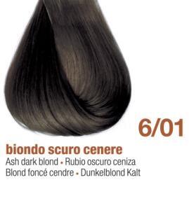6/01E - ASH DARK BLOND