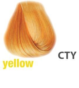 YELLOW - COLOR TRIBE