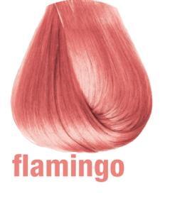 FLAMINGO - COLOR TRIBE